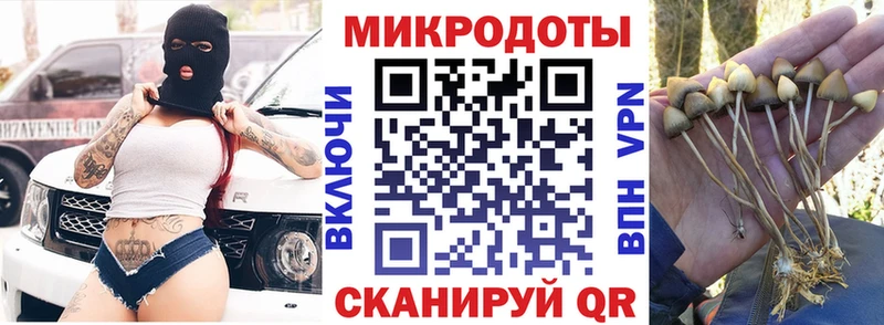 хочу наркоту  Майский  Галлюциногенные грибы Cubensis 