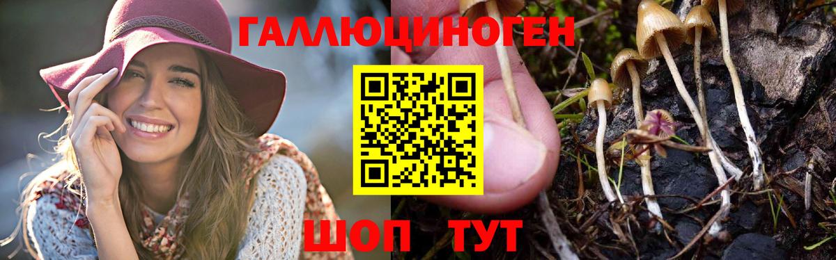Майский  Галлюциногенные грибы прущие грибы  купить закладку  Псилоцибиновые грибы ЛСД  Вход с VPN 